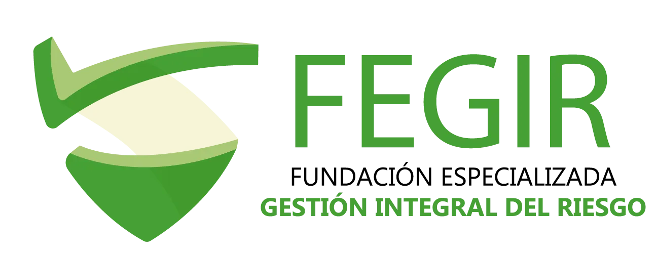 FEGIR Logo